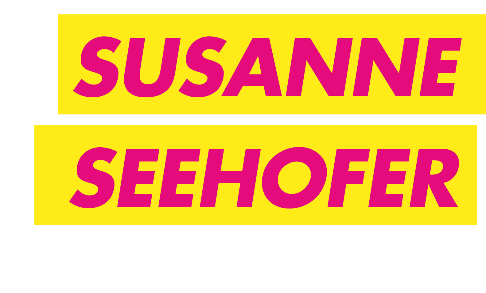 Susanne Seehofer FDP